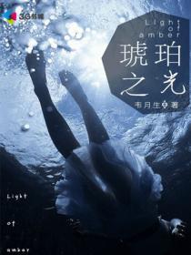 琥珀之光