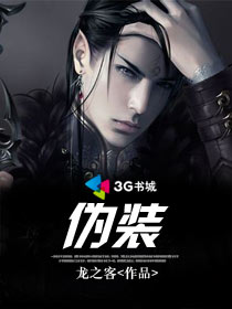 伪装小说