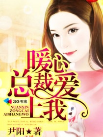 暖心总裁爱上我